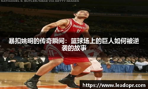 KY体育·(中国)官方网站