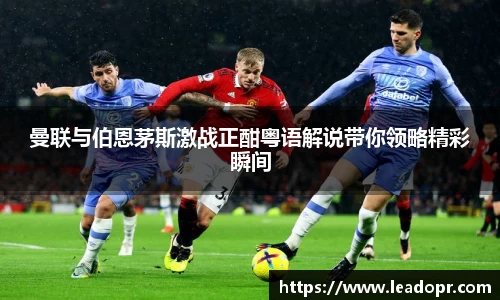 KY体育·(中国)官方网站