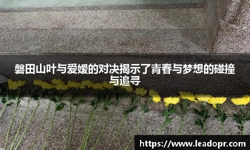 KY体育·(中国)官方网站