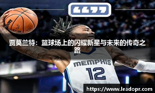 KY体育官方网站