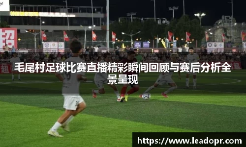 KY体育·(中国)官方网站